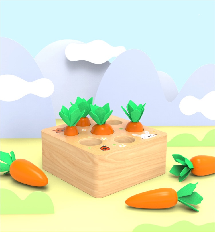 Wooden Carrot Shape Matching Toy