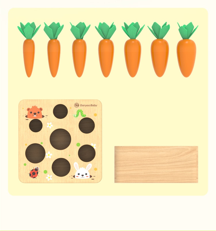 Wooden Carrot Shape Matching Toy
