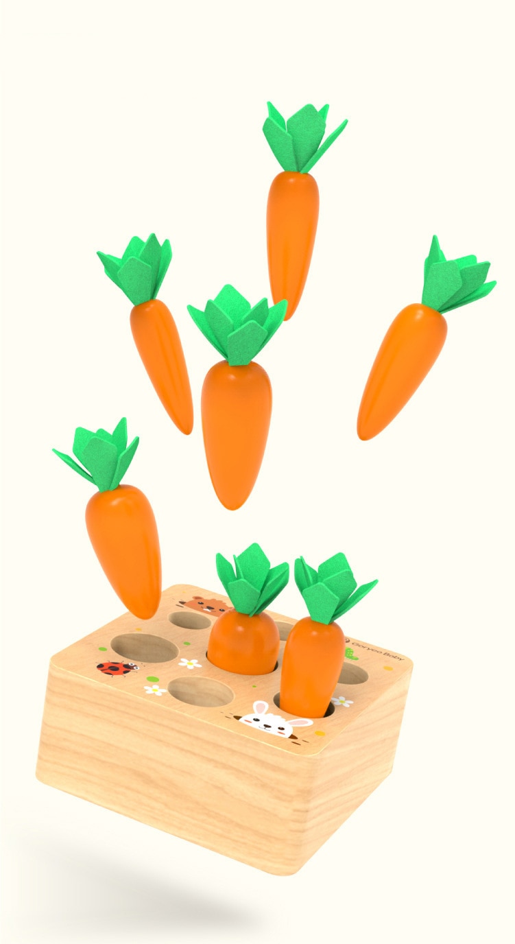 Wooden Carrot Shape Matching Toy