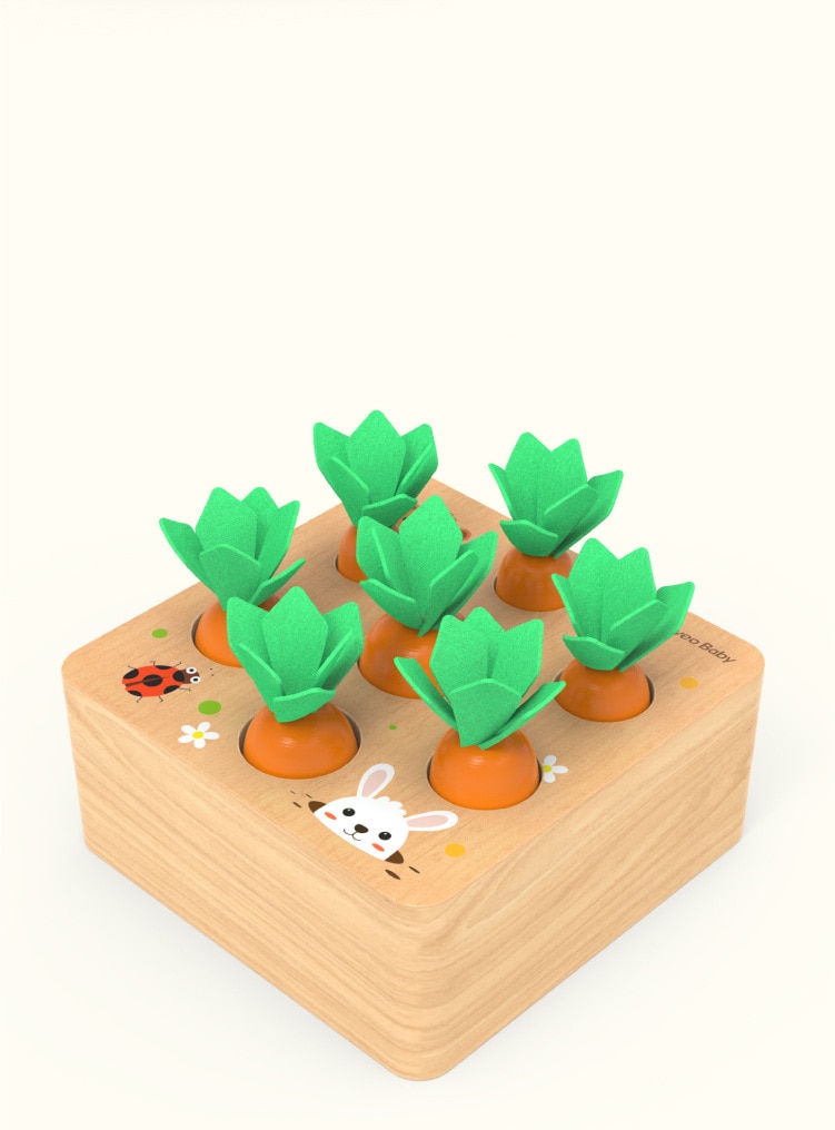 Wooden Carrot Shape Matching Toy