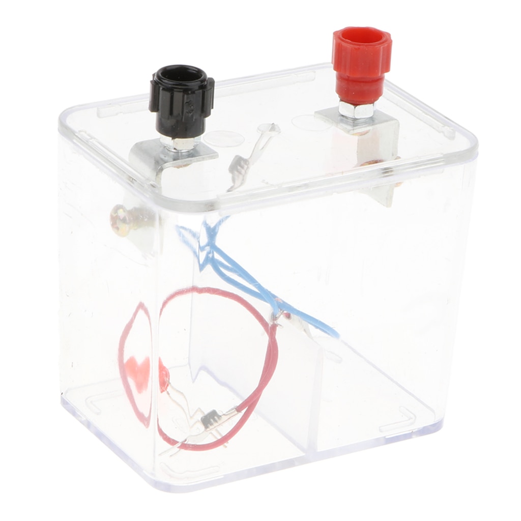 Kid's Galvanic Cell Toy