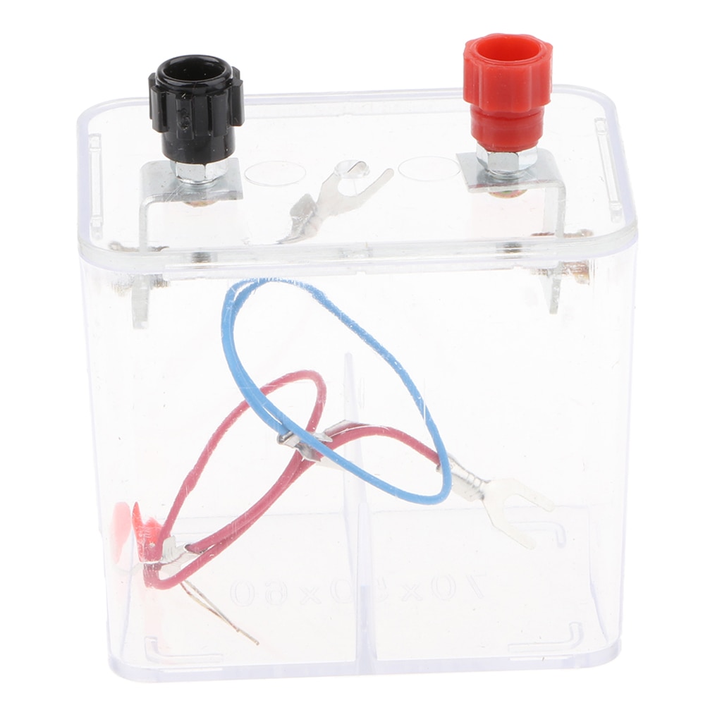Kid's Galvanic Cell Toy
