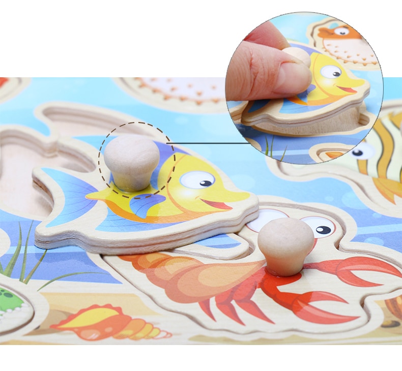 Educational Wooden Shape Learning Board