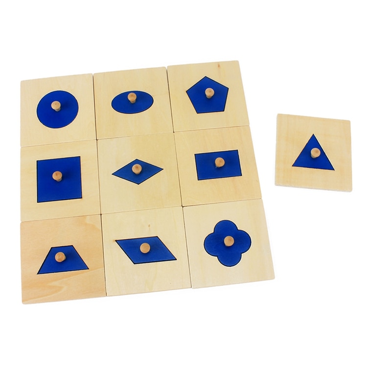 Shape Learning Wooden Insets Set