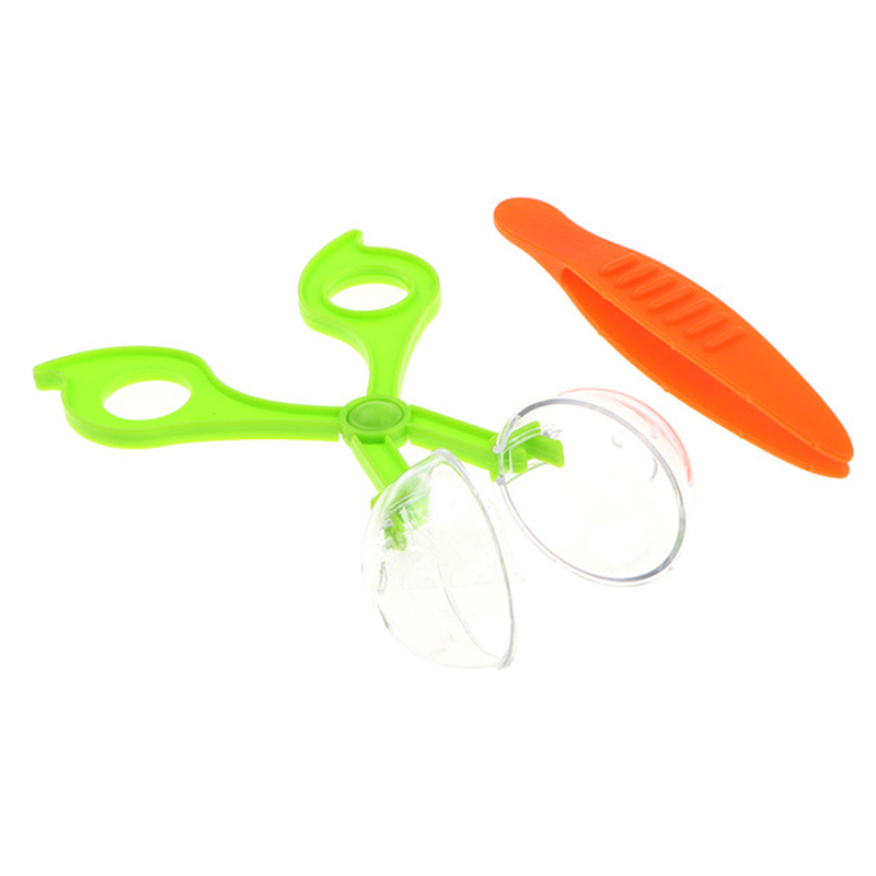 Kid's Nature Exploration Toy Kit Kid's Nature Exploration Toy Kit