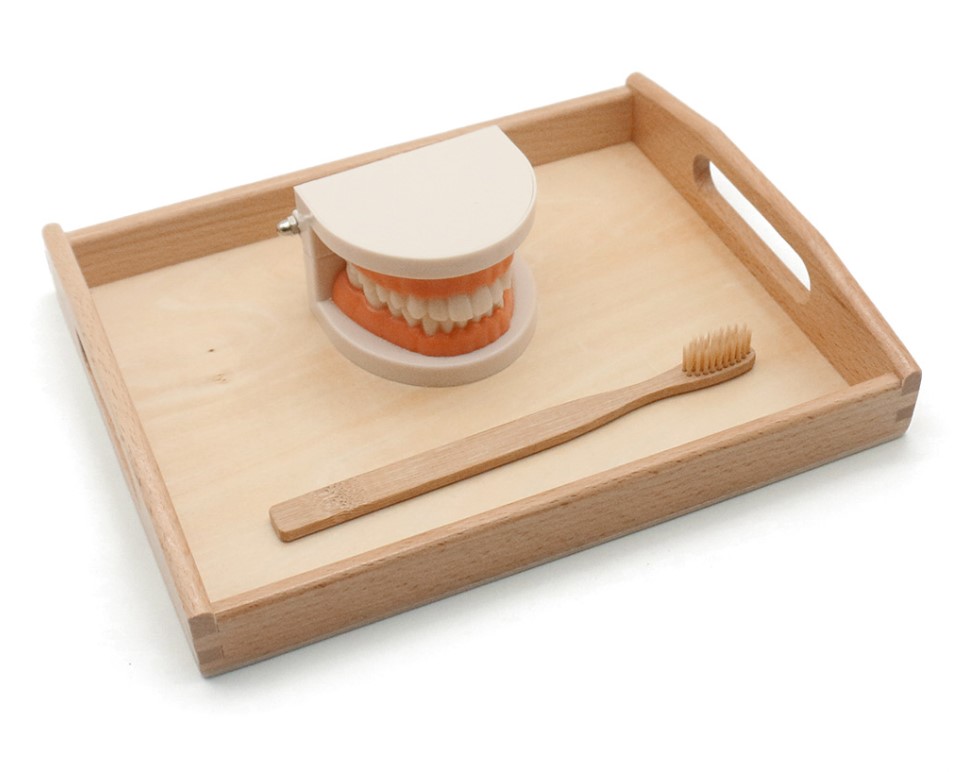 Dentist Toy Dentist Toy